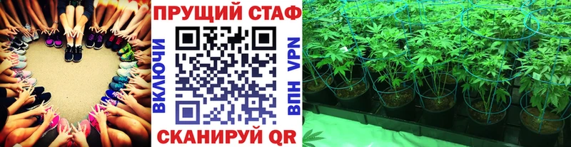 Виды наркотиков купить Чудово А ПВП  COCAIN  Мефедрон  ГАШ 